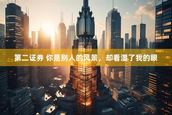 第二证券 你是别人的风景,却看湿了我的眼