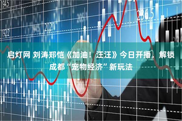 启灯网 刘涛郑恺《加油！汪汪》今日开播，解锁成都“宠物经济”新玩法